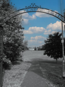 Ketley Park Arch and Gate - Entrance to the park.