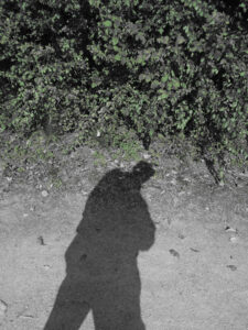 The Shadow By The Green Spaces