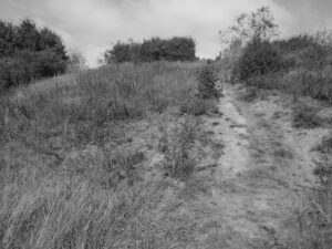 Hillside Photography By Ryan Boswell - Telford Outdoors Photography Specialist.